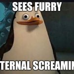 Turry | SEES FURRY; INTERNAL SCREAMING | image tagged in madagascar penguin | made w/ Imgflip meme maker