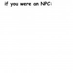 3 things you dropped if you were an npc