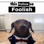 This fellow is so foolish | POV: you said Daneliya Tuleshova is the best | image tagged in this fellow is so foolish,memes,daneliya tuleshova sucks,cringe,singer | made w/ Imgflip meme maker