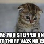 ),: | POV: YOU STEPPED ON A LEAF BUT THERE WAS NO CRUNCH | image tagged in sad kitten | made w/ Imgflip meme maker