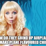 ditzy blonde | HOW DO THEY GRIND UP AIRPLANES TO MAKE PLANE FLAVOURED CHIPS? | image tagged in ditzy blonde | made w/ Imgflip meme maker