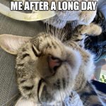 Me after  a long day | ME AFTER A LONG DAY | image tagged in me after a long day | made w/ Imgflip meme maker