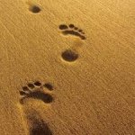 Footprints in Sand template