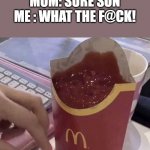 im in ohio ;-; | ME : MOM CAN I GET EXTRA FRIES IN OHIO?
MOM: SURE SON
ME : WHAT THE F@CK! | image tagged in ketchup with a side of fries | made w/ Imgflip meme maker
