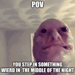 Weird Dude | POV; YOU STEP IN SOMETHING WIERD IN  THE MIDDLE OF THE NIGHT | image tagged in weirdo | made w/ Imgflip meme maker