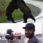 Guy films 2 bears fighting meme