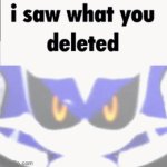 metal sonic i saw what you deleted
