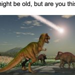 I know I am | you might be old, but are you this old? | image tagged in dinosaurs meteor | made w/ Imgflip meme maker