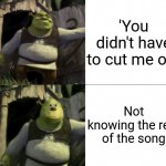 Shocked Shrek Face Swap | 'You didn't have to cut me off'; Not knowing the rest of the song | image tagged in shocked shrek face swap | made w/ Imgflip meme maker
