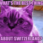 Wrong answers only. | WHAT’S THE BEST THING; ABOUT SWITZERLAND? | image tagged in raycat derp,memes,raycat | made w/ Imgflip meme maker