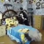 Patchy the Pirate removing SpongeBob items GIF Template