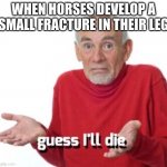 If you know you know | WHEN HORSES DEVELOP A SMALL FRACTURE IN THEIR LEG | image tagged in guess ill die,animals | made w/ Imgflip meme maker