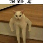 Strong Cat | 5yo me lifting the milk jug: | image tagged in stong cat | made w/ Imgflip meme maker
