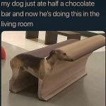 My dog just ate half a chocolate bar meme