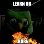 Dulingo took it to whole new level | LEARN OR; BURN | image tagged in duolingo | made w/ Imgflip meme maker