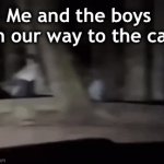 Please do not the cat | Me and the boys on our way to the cat | image tagged in gifs,me and the boys | made w/ Imgflip video-to-gif maker