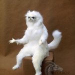 wtf stop it | WHEN I JUST TIED MY SHOELACE BUT IT ALREADY CAME LOOSE | image tagged in memes,persian cat room guardian single,funny,relatable,shoes,first world problems | made w/ Imgflip meme maker