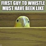 very yes | FIRST GUY TO WHISTLE MUST HAVE BEEN LIKE | image tagged in the birb | made w/ Imgflip meme maker