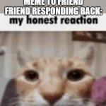 bro it was funny | ME: SENDS FUNNY MEME TO FRIEND
FRIEND RESPONDING BACK: | image tagged in my honest reaction,honest,reaction,reactions,lol,cat | made w/ Imgflip meme maker