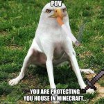 DIRD | POV; YOU ARE PROTECTING YOU HOUSE IN MINECRAFT... | image tagged in dird | made w/ Imgflip meme maker