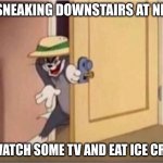 Tom Door | ME SNEAKING DOWNSTAIRS AT NIGHT; TO WATCH SOME TV AND EAT ICE CREAM | image tagged in tom door | made w/ Imgflip meme maker