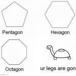 mine | ur legs are gon | image tagged in memes,pentagon hexagon octagon,mine turtle,tutel | made w/ Imgflip meme maker