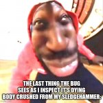 *screams in agony* | THE LAST THING THE BUG SEES AS I INSPECT IT'S DYING BODY CRUSHED FROM MY SLEDGEHAMMER: | image tagged in goofy ahh | made w/ Imgflip meme maker