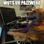 gimme it | WUTS UR PAZZWERD | image tagged in dog behind a computer | made w/ Imgflip meme maker