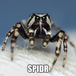 Spidr | SPIDR | image tagged in angry spider noises,spidr | made w/ Imgflip meme maker