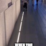 google maps | WHEN YOU FOLLOW GOOGLE MAPS | image tagged in gifs,google maps,funny,memes | made w/ Imgflip video-to-gif maker