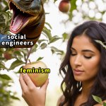 Feminism meme