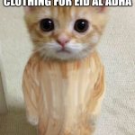 sad boi | ME WHEN I GET FORCED TO PUT ON TRADITIONAL CLOTHING FOR EID AL ADHA | image tagged in morocco cat | made w/ Imgflip meme maker