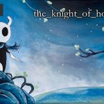 the_knight_of_hollow thing