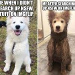 Before and After Clean vs Dirty dog | ME WHEN I DIDN’T SEARCH UP NSFW STUFF  ON IMGFLIP; ME AFTER SEARCHING UP NSFW ON IMGFLIP | image tagged in before and after clean vs dirty dog | made w/ Imgflip meme maker