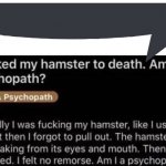 I fucked my hamster speech bubble meme