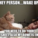 Wake Up Do your timesheet | HEY PERSON....WAKE UP! YOU NEED TO DO YOUR TIMESHEET, ALSO MY BOWL IS EMPTY | image tagged in cat waking owner | made w/ Imgflip meme maker