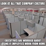 Execs are determined to believe cube farms, corporate drama, and being treated like a bird in a cage makes you work harder? | LOOK AT ALL THAT COMPANY CULTURE; EXECUTIVES ARE WORRIED ABOUT LOSING IF EMPLOYEES WORK FROM HOME | image tagged in corporate cubicles,elon musk,creativity,lies,bullying,bad ideas | made w/ Imgflip meme maker