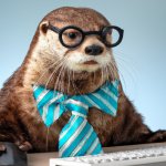 Sea Otter on a computer