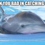 This feeling dolphin never forget! | WHEN YOU BAD IN CATCHING FISH: | image tagged in promiscuous problems dolphin | made w/ Imgflip meme maker