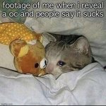 Crying cat in bed | footage of me when i reveal a oc and people say it sucks | image tagged in crying cat in bed | made w/ Imgflip meme maker