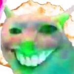 shit cat