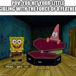 Siblings be like | POV: YOU HIT YOUR LITTLE SIBLING WITH THE FORCE OF A FEATHER | image tagged in ok get in | made w/ Imgflip meme maker