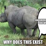 Rino | CONSIDERED WHY GOD WHY; WHY DOES THIS EXIST | image tagged in rino,fun | made w/ Imgflip meme maker