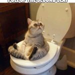 Has this happened to anyone else :( | 5 Y/O ME WHEN I ACCIDENTALLY PULL UP THE SECOND SEAT; HELP | image tagged in toilet cat | made w/ Imgflip meme maker
