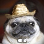 pug life | HOLA | image tagged in pug life | made w/ Imgflip meme maker