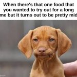 Pure disappointment | When there's that one food that you wanted to try out for a long time but it turns out to be pretty mid : | image tagged in memes,funny,relatable,disappointed puppy,foods,front page plz | made w/ Imgflip meme maker