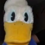 Donald Ducc face forward meme