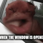 my dog be like | MY DOG WHEN THE WINDOW IS OPENED BE LIKE: | image tagged in gifs,dog | made w/ Imgflip video-to-gif maker