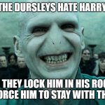 Savage Harry Potter joke | THE DURSLEYS HATE HARRY. SO THEY LOCK HIM IN HIS ROOM TO FORCE HIM TO STAY WITH THEM? | image tagged in savage harry potter joke | made w/ Imgflip meme maker
