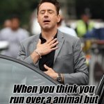 It's true tho- | When you think you run over a animal but it was actually a person. | image tagged in relief,car | made w/ Imgflip meme maker